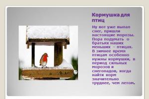 Зимние кормушки для птиц - PowerPoint PPT Presentation