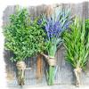 Эти растения защитят вас и ваш дом от сглаза: Растительные амулеты от порчи Как называется трава от сглаза